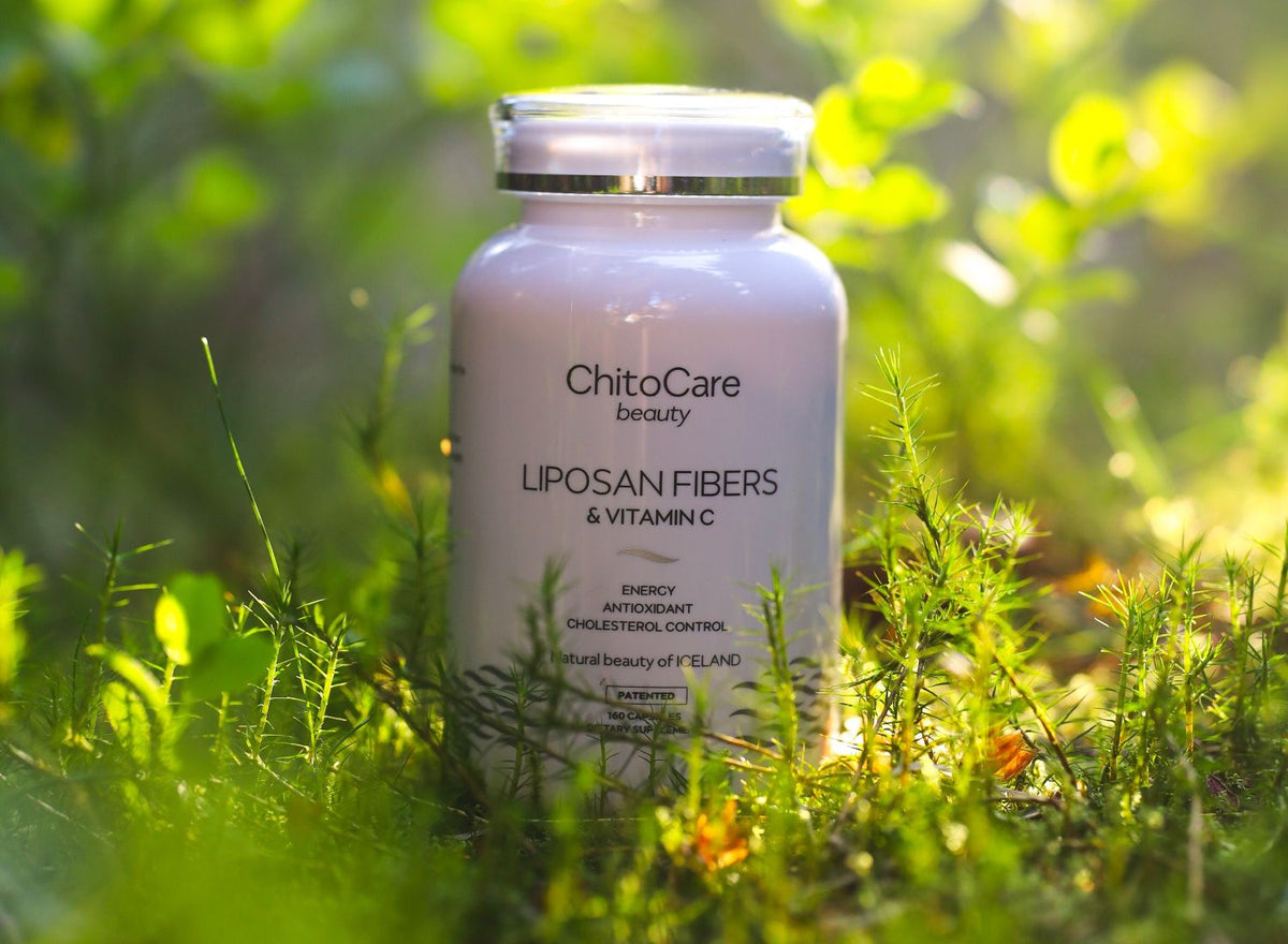 chitosan l carnitin kapseln Hafesan + 2x60 stk Chitosan in High-Concentration Capsules